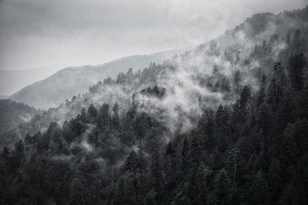Mountain Clouds at Newfound Gap-Smoky Mountains National Park-Tennessee-USA